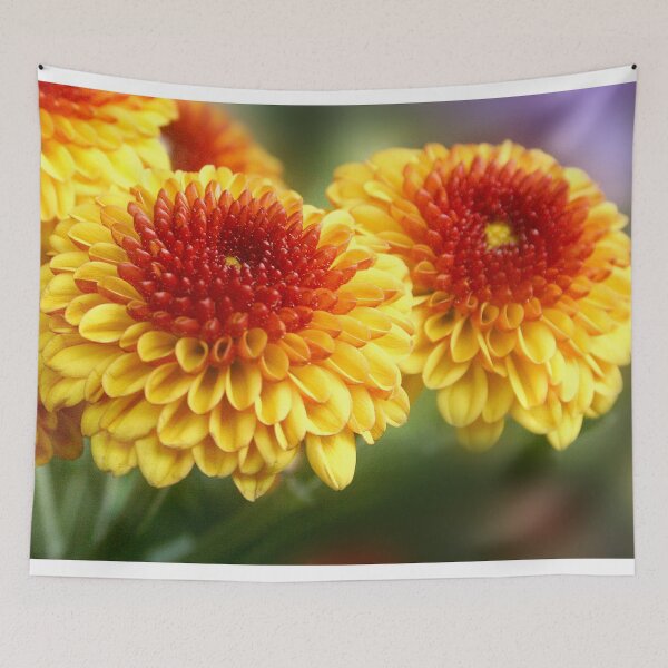 Item preview, two-toned mum designed and sold by lensbaby.
