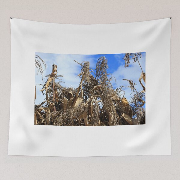 Item preview, Corn Stalks Drying in the Sun designed and sold by rhamm.