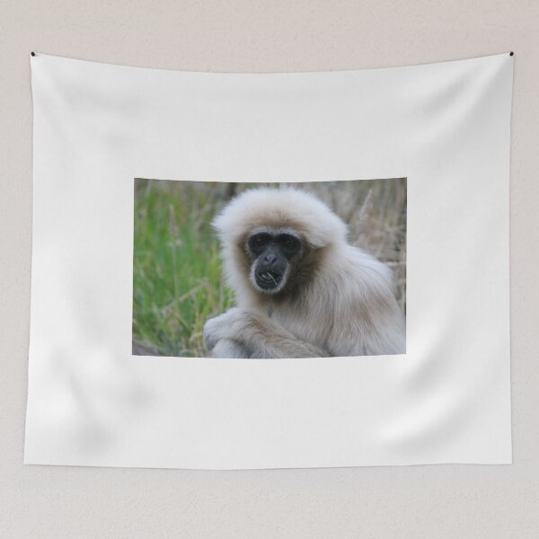 Item preview, Whatcha Staring At? designed and sold by Ladymoose.