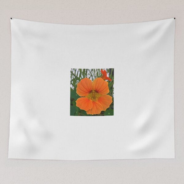 Item preview, Orange Nasturtium designed and sold by Adventurersyd.