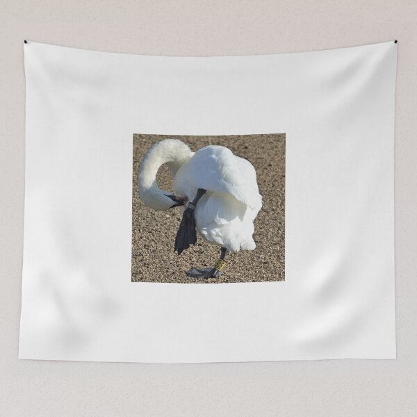 Item preview, Preening Swan.......... designed and sold by lynn carter.