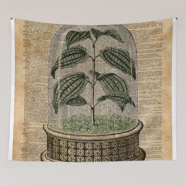 Item preview, Plant Under Bell-glass Vintage Illustration Over A Old Dictionary Page designed and sold by DictionaryArt.