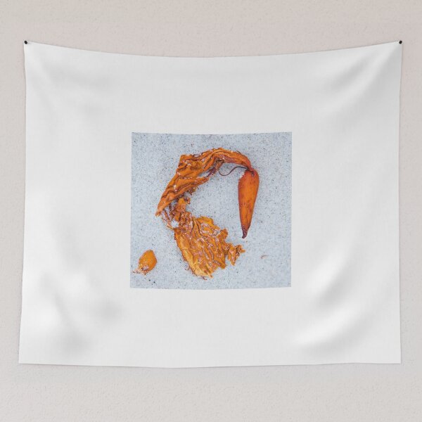 Item preview, Demure Seaside Still Life designed and sold by Marilyn Cornwell.