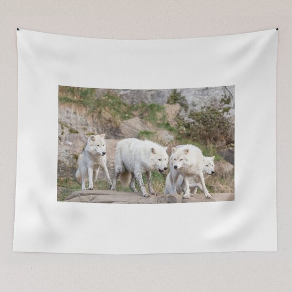 Item preview, A pack of Arctic Wolves designed and sold by Josef Pittner.