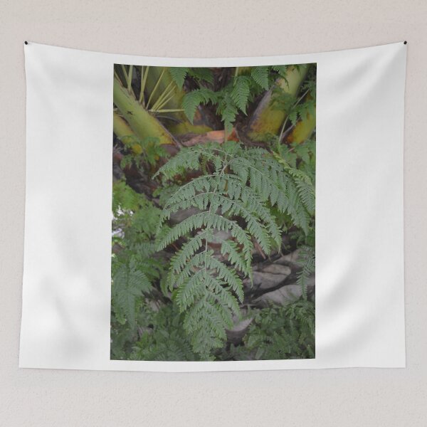 Item preview, FERNY GROTTO designed and sold by kazaroodie.