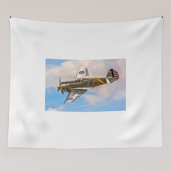 Item preview, Curtiss P-36C 38-210 N80FR - a Polished Performer designed and sold by Colin Smedley.