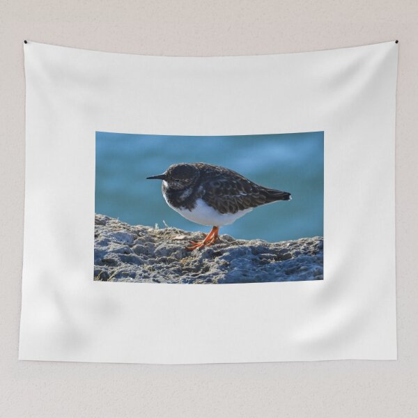 Item preview, Turnstone Bird.........Lyme Dorset UK designed and sold by lynn carter.