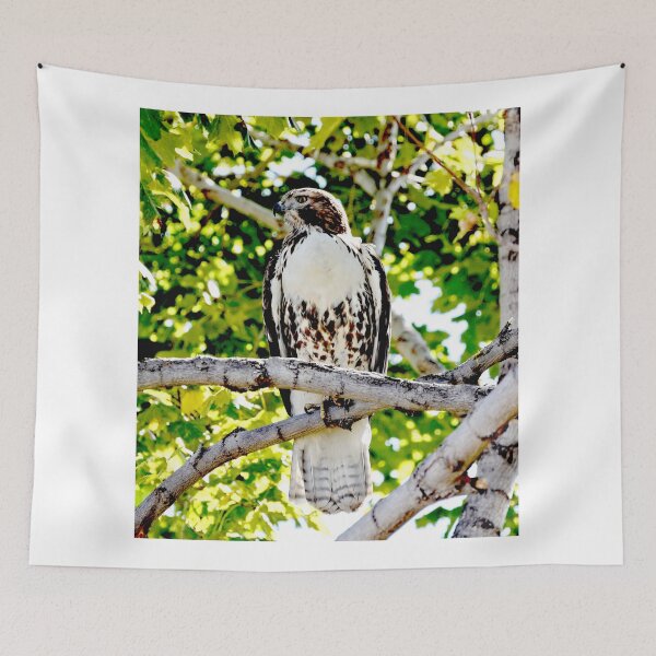 Item preview, Red Tailed Hawk designed and sold by Amy McDaniel.
