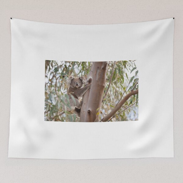 Item preview, Koala Encounter designed and sold by Natalie Ord.