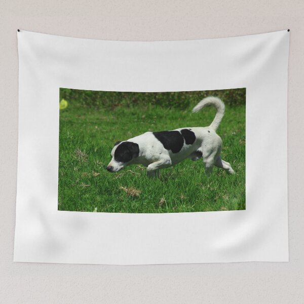 Item preview, Black and White Dog in a Field designed and sold by rhamm.