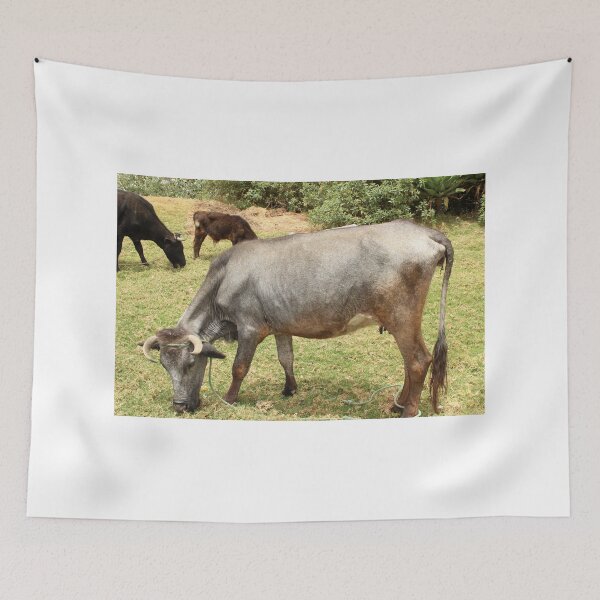 Aperçu de l'œuvre Gray Cow in a Pasture créée et vendue par rhamm.