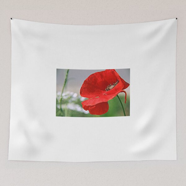 Item preview, Barbara designed and sold by gluca.