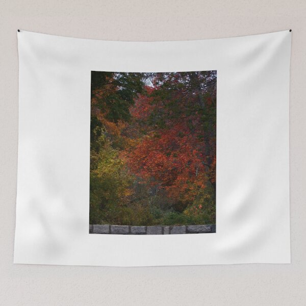 Item preview, Fall Colors (1470) designed and sold by sensameleon.