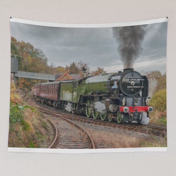 Item preview, 60163 Tornado designed and sold by Steve H Clark.