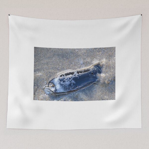 Item preview, Mermaids Purse....Lyme Dorset UK designed and sold by lynn carter.