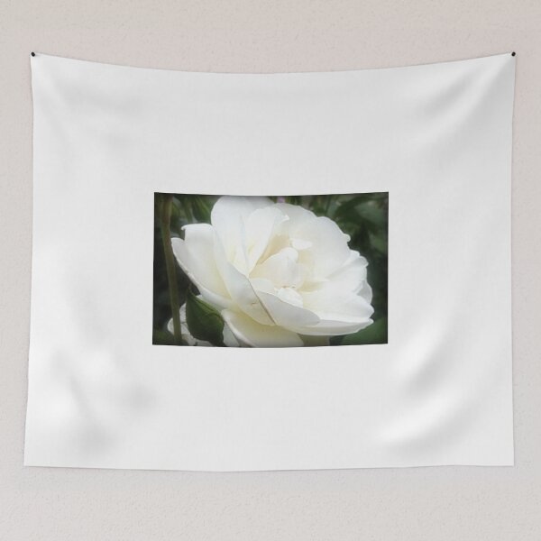 Item preview, *Iceberg Rose - Garden 2015* designed and sold by EdsMum.