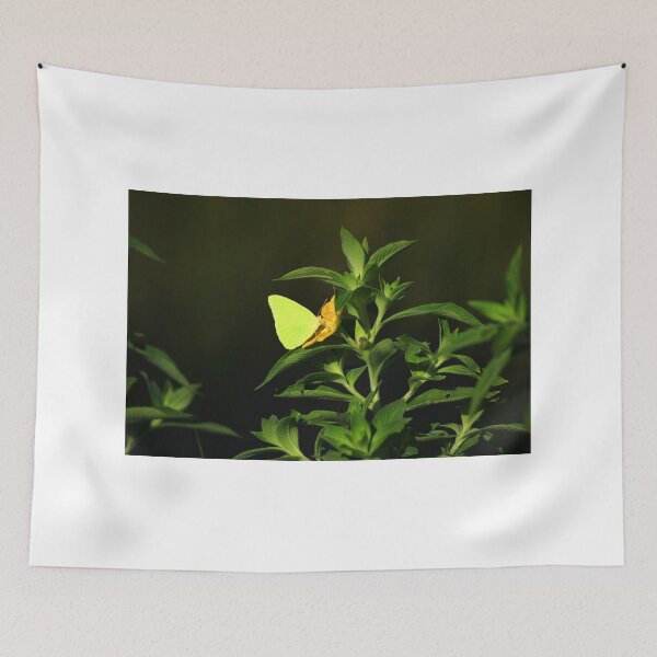 Item preview, Yellow Butterfly on a Flower designed and sold by rhamm.