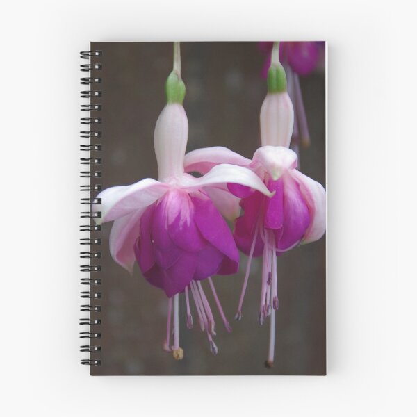 Item preview, A Pretty Pair Of Fuchsias designed and sold by lezvee.