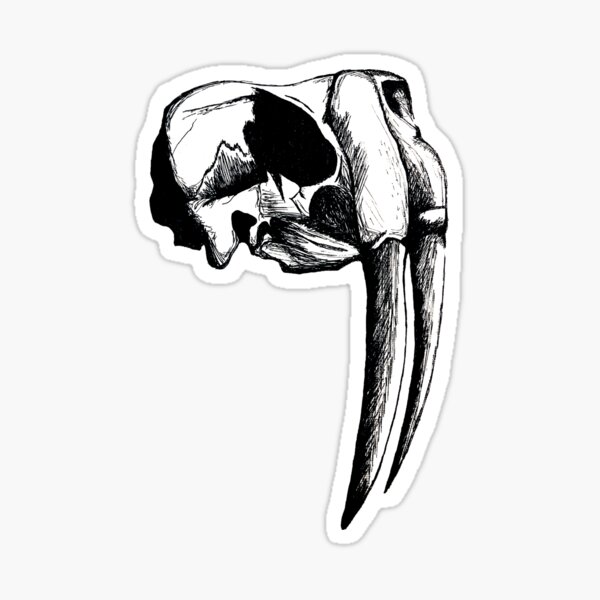 Walrus Skull Sticker