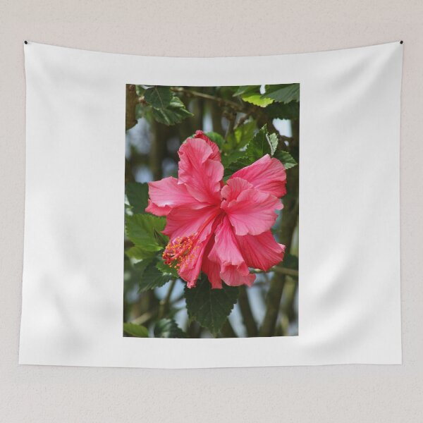 Item preview, Pink Hibiscus Flower on a Tree designed and sold by rhamm.