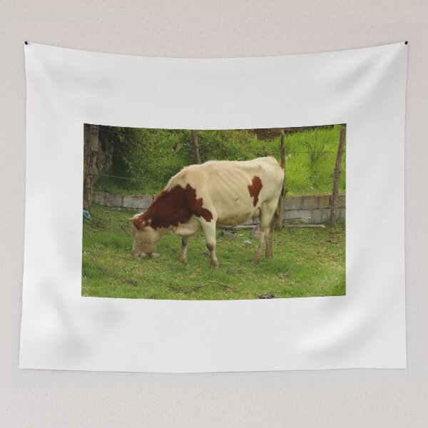 Item preview, Brown and White Cow on a Farm designed and sold by rhamm.