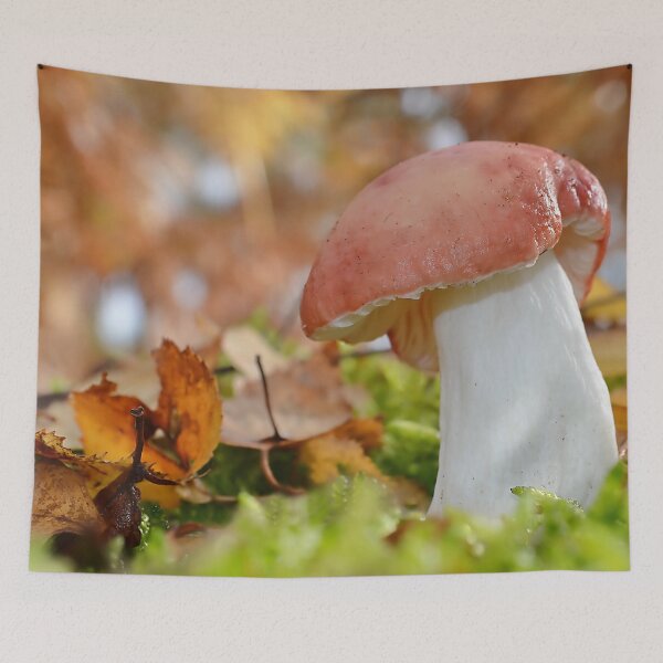 Item preview, Beechwood Sickener /Russula Nobilis designed and sold by relayer51.