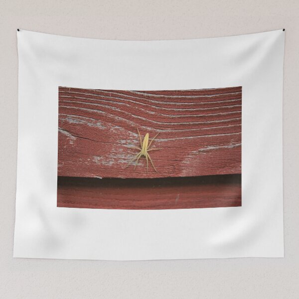 Item preview, Spider on a Barn Wall designed and sold by rhamm.
