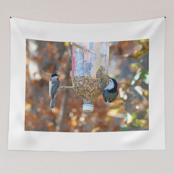 Item preview, Chickadee & Nuthatch designed and sold by Frankie Cat Photography.