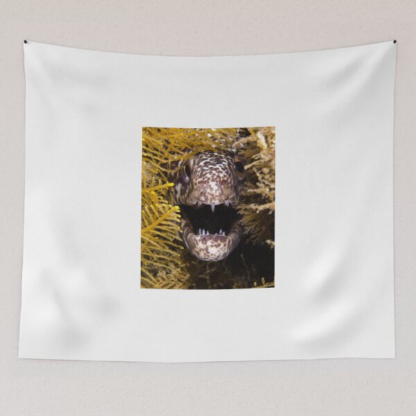 Item preview, Moray Fangs designed and sold by Brent Barnes.