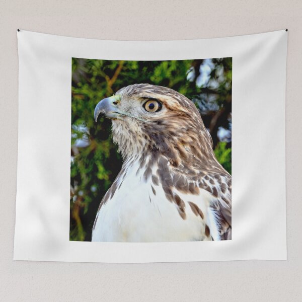 Item preview, Red Tailed Hawk designed and sold by Amy McDaniel.