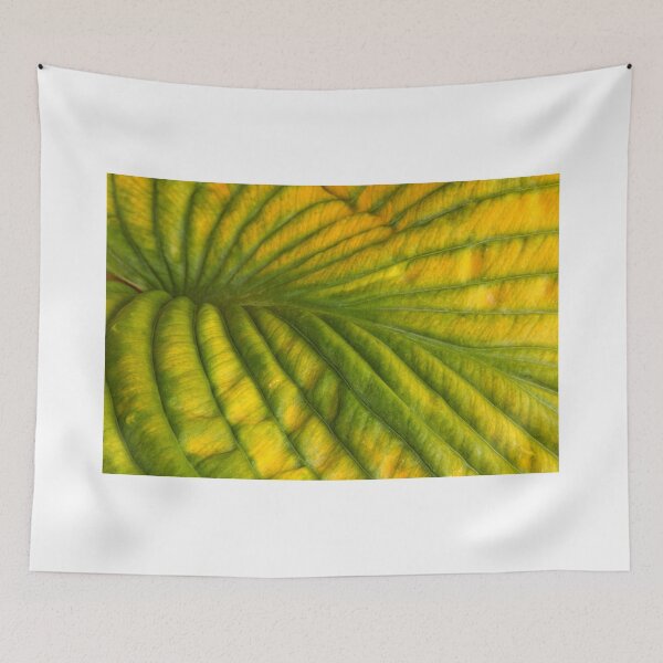 Item preview, Deep Folds Down the Valley designed and sold by Marilyn Cornwell.
