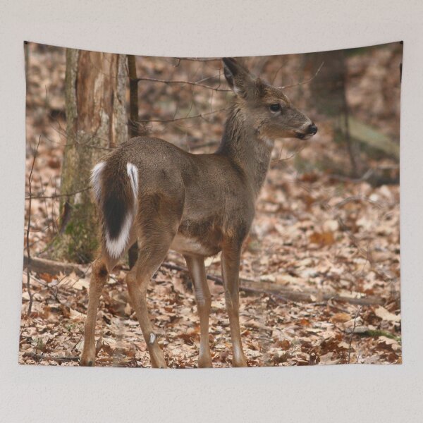 Item preview, White-tailed Deer  designed and sold by Enola Gay Wagner.
