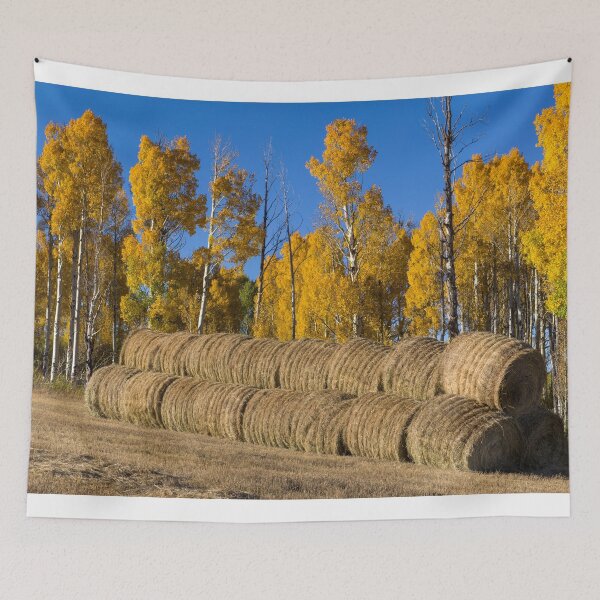 Item preview, Rolls designed and sold by Gary Benson.