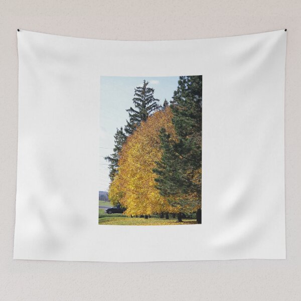 Item preview, Gold and Firs designed and sold by SRosuphotos.