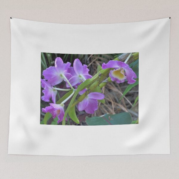 Aperçu de l'œuvre Purple Orchid créée et vendue par ginnymac.