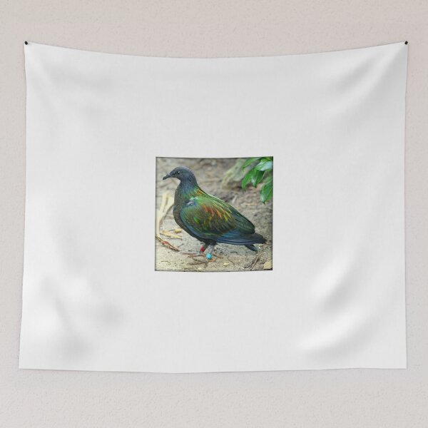 Item preview, Gorgeous Nicobar Pigeon designed and sold by anitahiltz.