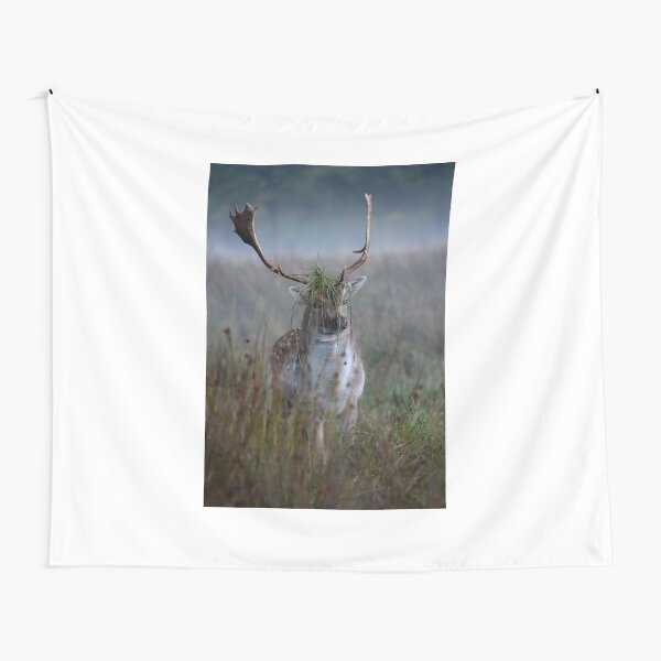 Roe stag Tapestry