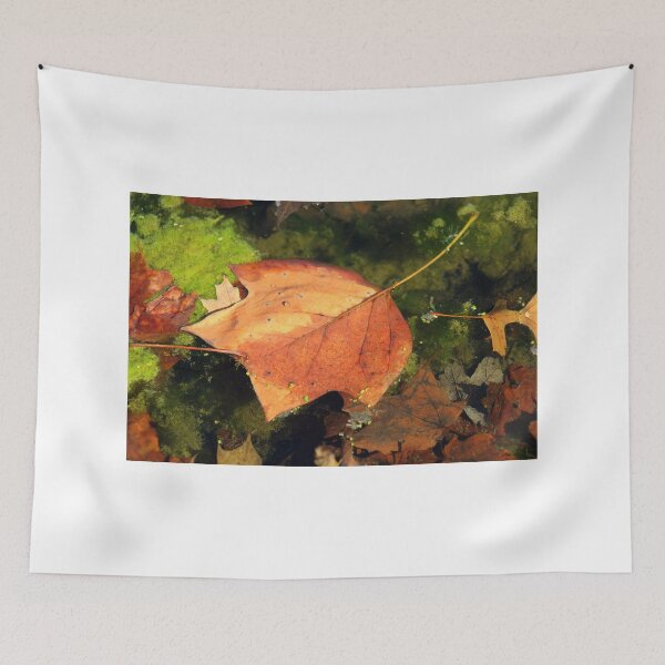 Item preview, Fallen Maple Leaf in Pond designed and sold by anitahiltz.