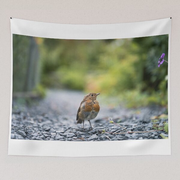 Item preview, Robin Redbreast designed and sold by James Farley.