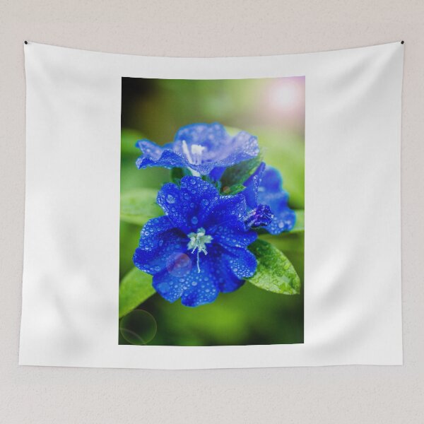 Item preview, Evolvulus Blue Eyes designed and sold by Keith's Photo Artistry.
