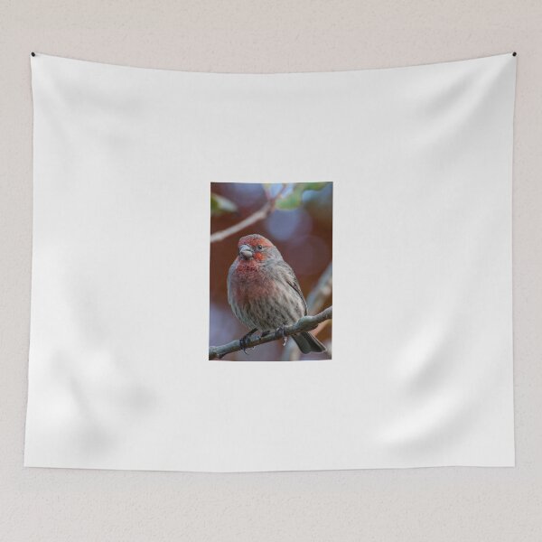 Item preview, Fall Singer designed and sold by Greg Birkett.