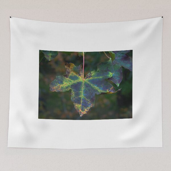 Item preview, Maple Leaf (1278) designed and sold by sensameleon.