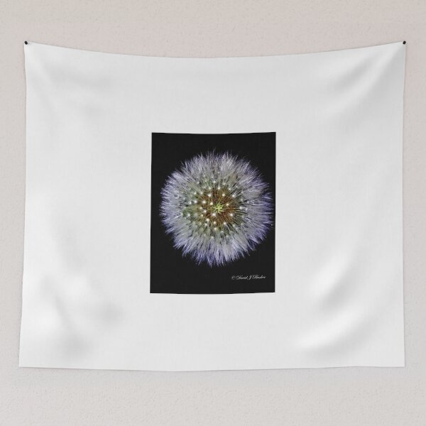 Item preview, Dandelion clock designed and sold by Lancastrian.