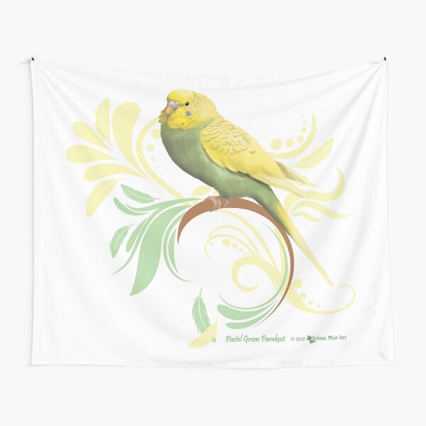 Tela decorativa «Perico verde pastel» de sylvanmist | Redbubble