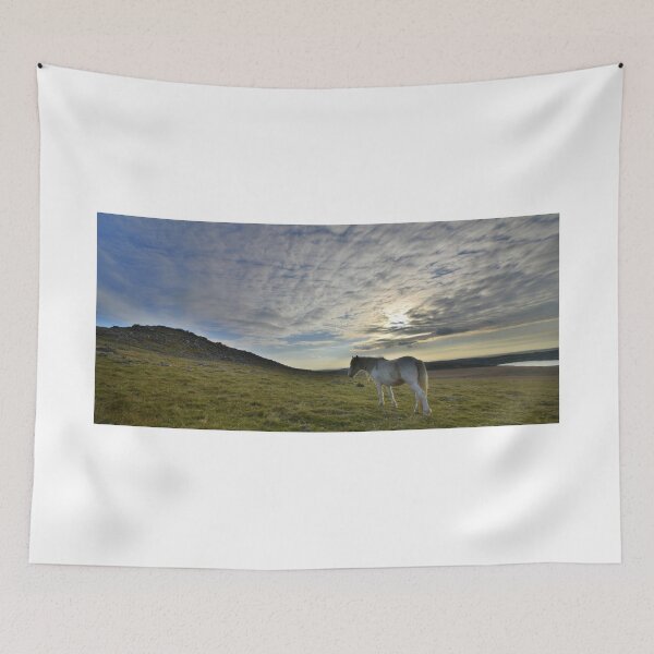 Item preview, Cornwall: Lone Pony designed and sold by Rob Parsons (Just a Walker with a Camera).