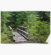 Foot Bridge Poster