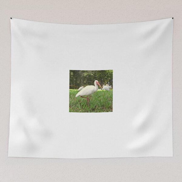 Item preview, American White Ibis Birds in Orlando, Florida designed and sold by anitahiltz.