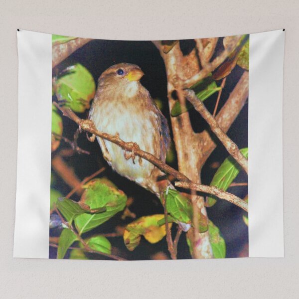 Item preview, Dusk feeder  designed and sold by B. Randi Bailey.