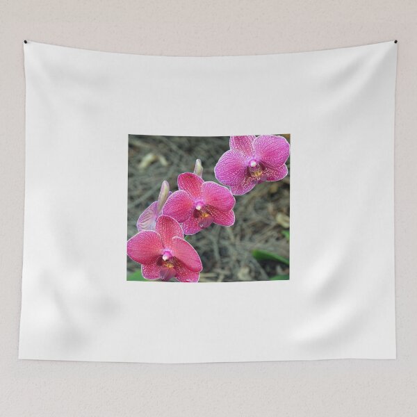 Item preview, Beautiful Orchids........ designed and sold by lynn carter.