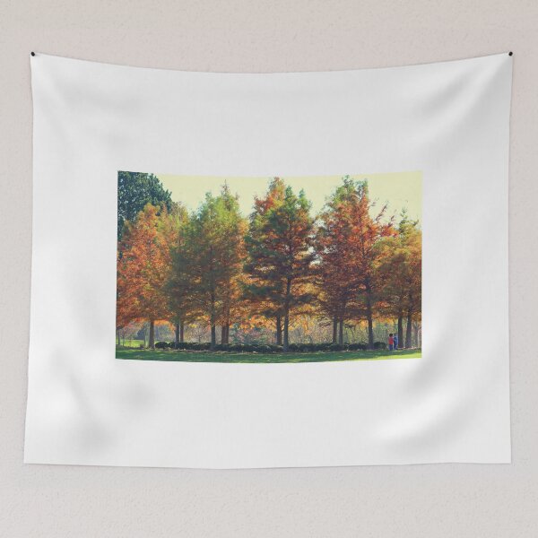 Item preview, Line of Autumn Colored Trees at George George Park designed and sold by anitahiltz.